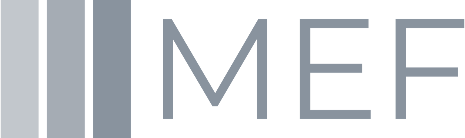 MEF Platform